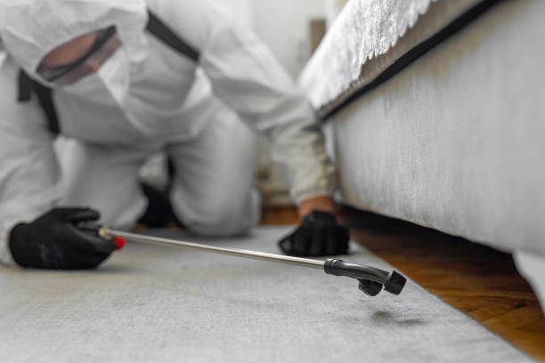 Professional Termite Control technician working in Superior, CO